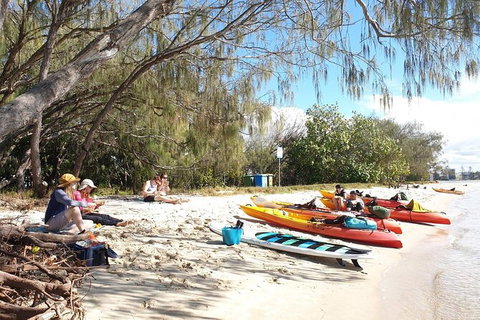 Half-Day Kayak, SUP And Snorkel Tour At Wave Break Island With Lunch - Attractions Brisbane 8