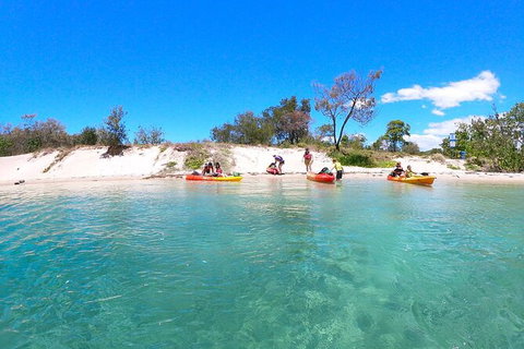 Half-Day Kayak, SUP And Snorkel Tour At Wave Break Island With Lunch - Attractions Brisbane 4