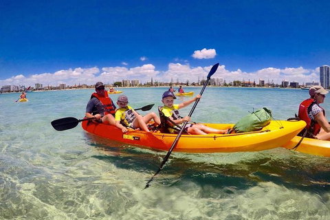 Half-Day Kayak, SUP And Snorkel Tour At Wave Break Island With Lunch - Attractions Brisbane 5