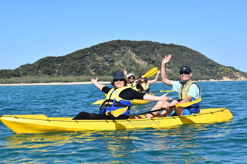 Kayak With Dolphins And 4WD Great Beach Drive Day Trip From Noosa - Attractions Brisbane 6