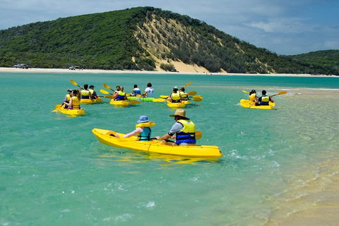 Kayak With Dolphins And 4WD Great Beach Drive Day Trip From Noosa - Attractions Brisbane 8