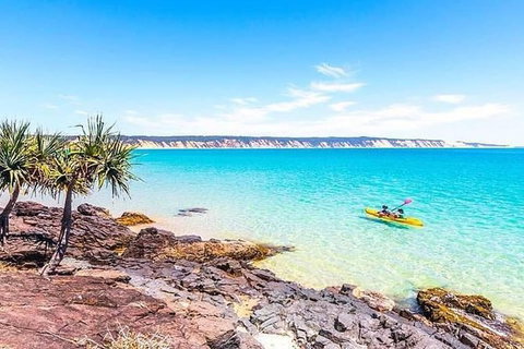 Kayak With Dolphins And 4WD Great Beach Drive Day Trip From Noosa - Attractions Brisbane 3