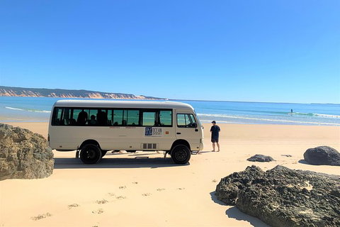 Kayak With Dolphins And 4WD Great Beach Drive Day Trip From Noosa - Attractions Brisbane 17