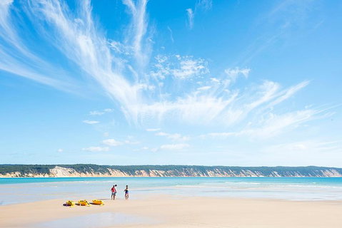 Kayak With Dolphins And 4WD Great Beach Drive Day Trip From Noosa - Attractions Brisbane 16