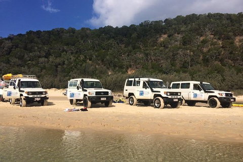 Kayak With Dolphins And 4WD Great Beach Drive Day Trip From Noosa - Attractions Brisbane 9