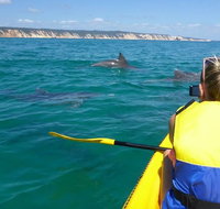 Kayak with Dolphins and 4WD Great Beach Drive Day Trip from Noosa - Attractions Brisbane
