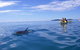 Kayak With Dolphins And 4WD Great Beach Drive Day Trip From Noosa - thumb 7