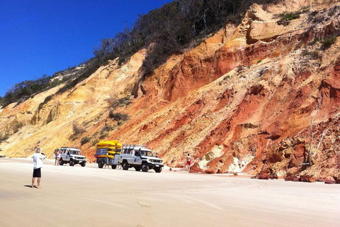 Kayak With Dolphins And 4WD Great Beach Drive Day Trip From Noosa - Attractions Brisbane 12