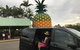 Private Transfer From Sunshine Coast Airport To Noosa 8 Seater + Luggage Trailer - thumb 2