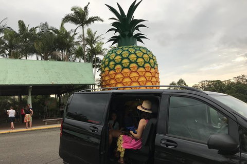 Private Transfer From Sunshine Coast Airport To Noosa 8 Seater + Luggage Trailer - Attractions Brisbane 2