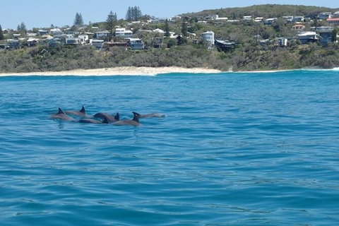 Noosa Thriller - 500hp Ocean Adventure Ride - Attractions Brisbane 5