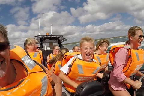 Noosa Thriller - 500hp Ocean Adventure Ride - Attractions Brisbane 4