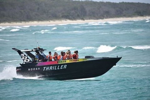 Noosa Thriller - 500hp Ocean Adventure Ride - Attractions Brisbane 0