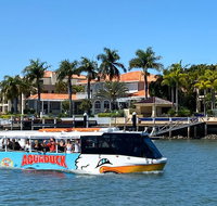 Aquaduck Sunshine Coast - Attractions Brisbane