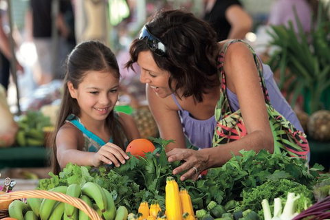 Sunshine Coast Eumundi Markets Return Minibus Transfer - Attractions Brisbane 5