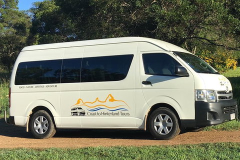 Sunshine Coast Eumundi Markets Return Minibus Transfer - Attractions Brisbane 2
