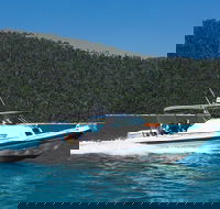 Private Standard Charter Experience in Whitsundays - Attractions Brisbane