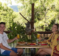 Hartley's Crocodile Adventures Entry Ticket and Breakfast with the Koalas - Attractions Brisbane