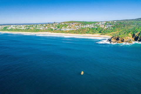 2-Hour Guided Whale Watching Tour At Noosa - Attractions Brisbane 6