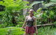 Full-Day Guided Hinterland Adventure Tour In Queensland - thumb 7