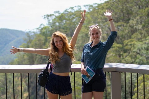 Full-Day Guided Hinterland Adventure Tour In Queensland - Attractions Brisbane 11