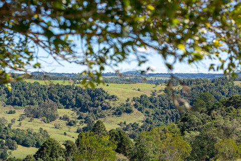 Full-Day Guided Hinterland Adventure Tour In Queensland - Attractions Brisbane 5