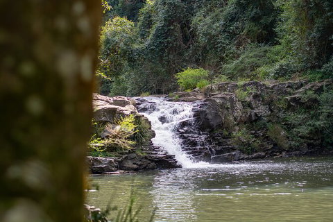Full-Day Guided Hinterland Adventure Tour In Queensland - Attractions Brisbane 9