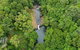 Full-Day Guided Hinterland Adventure Tour In Queensland - thumb 0