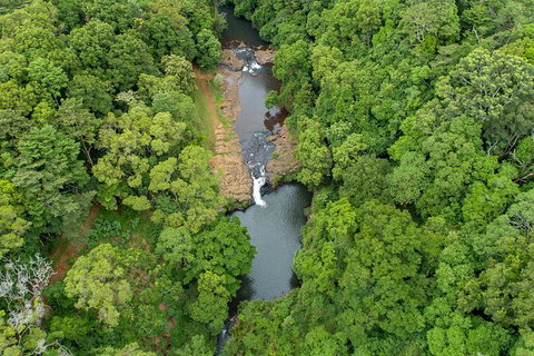 Full-Day Guided Hinterland Adventure Tour In Queensland - Attractions Brisbane 0