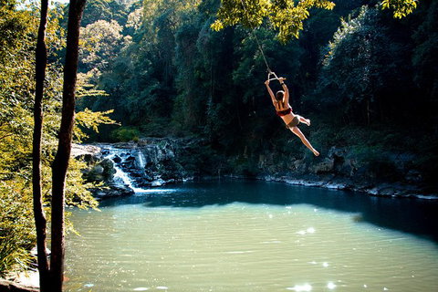 Full-Day Guided Hinterland Adventure Tour In Queensland - Attractions Brisbane 4