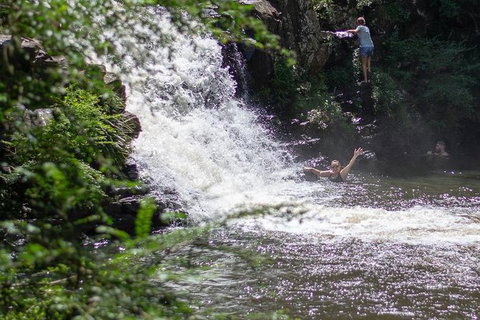 Full-Day Guided Hinterland Adventure Tour In Queensland - Attractions Brisbane 6