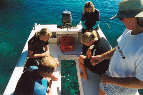 Great Barrier Reef Luxury Expedition Cruise Cabin Booking 7 Days 6 Night - Attractions Brisbane 1