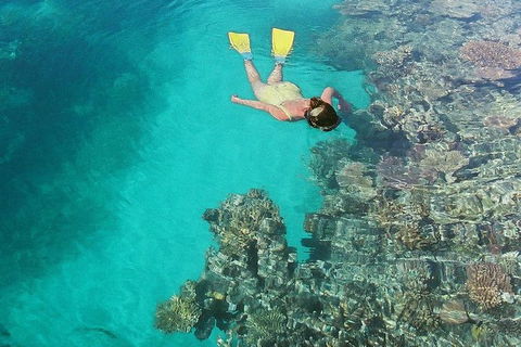 Great Barrier Reef Luxury Expedition Cruise Cabin Booking 7 Days 6 Night - Attractions Brisbane 8