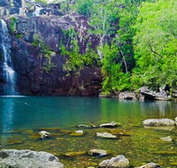 Reef Wildlife  Rainforest - Reef  Beyond Guided Holidays - Attractions Brisbane