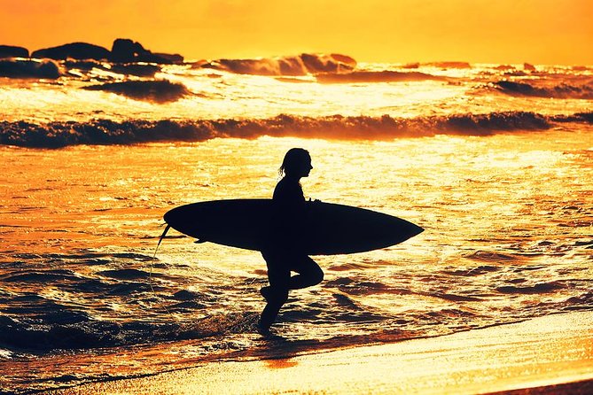Surfers Paradise QLD Attractions Brisbane