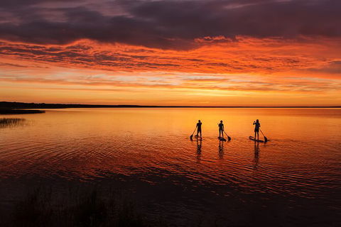 Stand Up Paddle Board Tour - Attractions Brisbane 7
