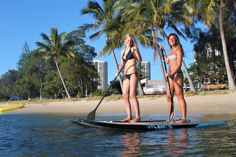 Stand Up Paddle Board Tour - Attractions Brisbane 1