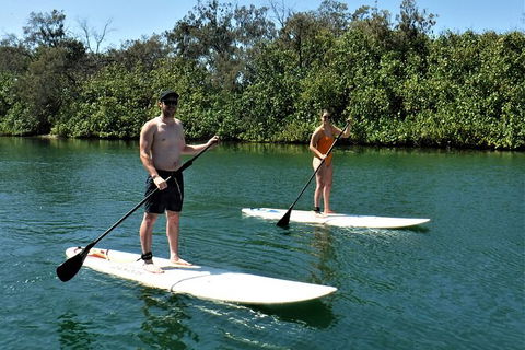 Stand Up Paddle Board Tour - Attractions Brisbane 3