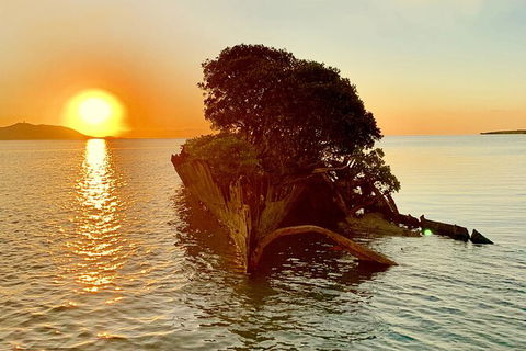 Aquascene Magnetic Island Sunset & Shipwreck Tour - Attractions Brisbane 3