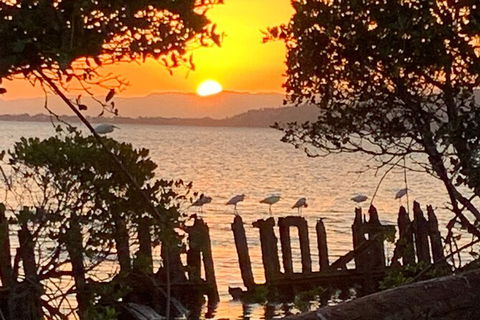 Aquascene Magnetic Island Sunset & Shipwreck Tour - Attractions Brisbane 2