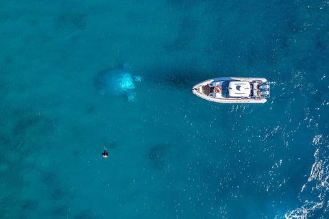 Premium Private Charter - Attractions Brisbane 2