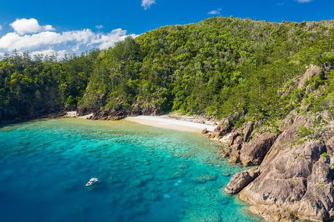 Premium Private Charter - Attractions Brisbane 3