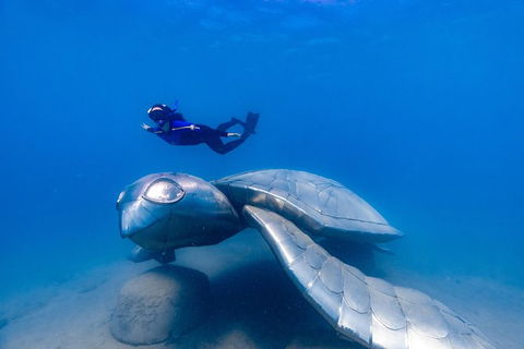 Premium Private Charter - Attractions Brisbane 9