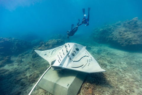 Premium Private Charter - Attractions Brisbane 10