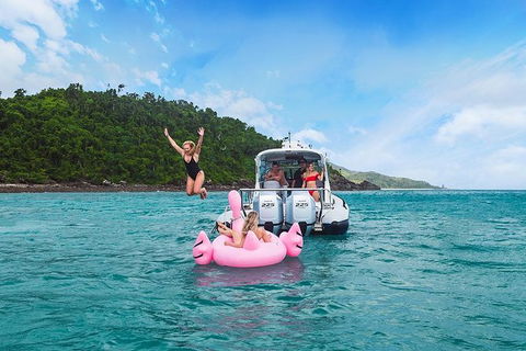 Premium Private Charter - Attractions Brisbane 7