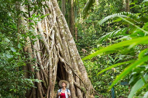 Rainforest To Reef Experience - Reef And Beyond Guided Holidays - Attractions Brisbane 2