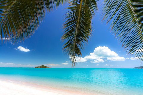 Rainforest To Reef Experience - Reef And Beyond Guided Holidays - Attractions Brisbane 1