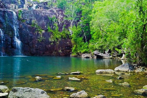 Rainforest To Reef Experience - Reef And Beyond Guided Holidays - Attractions Brisbane 5