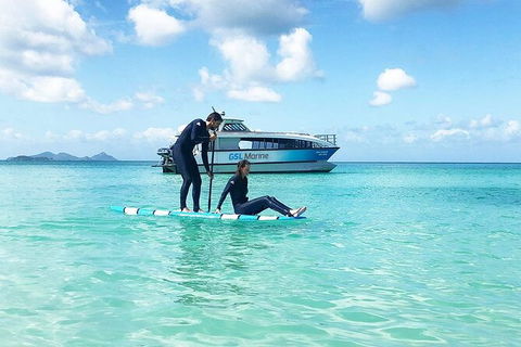 Rainforest To Reef Experience - Reef And Beyond Guided Holidays - Attractions Brisbane 3