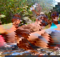 Dingos 3 Day Tag along Fraser Island 4WD Adventure